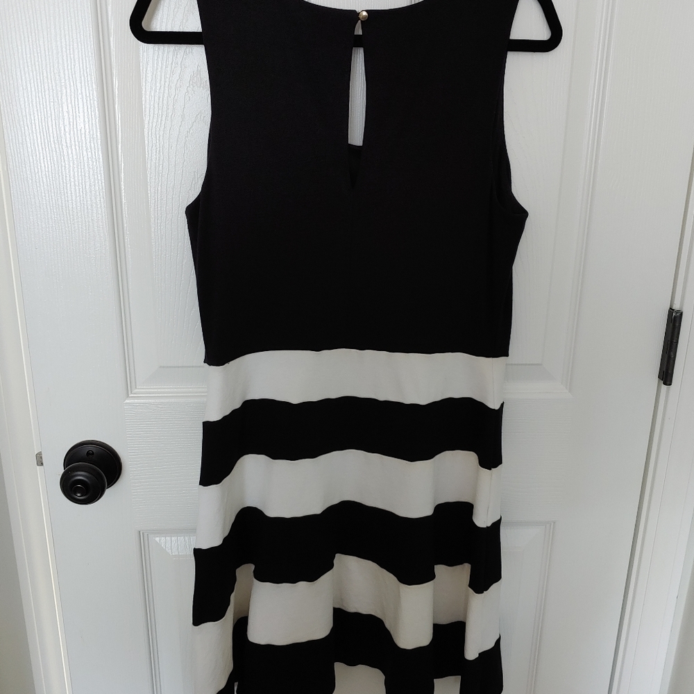Express Skater Dress